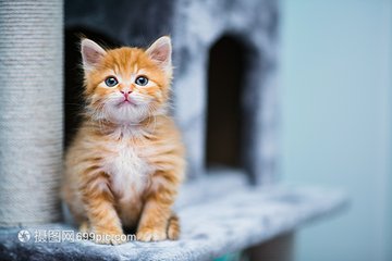 metamask钱包如何下载