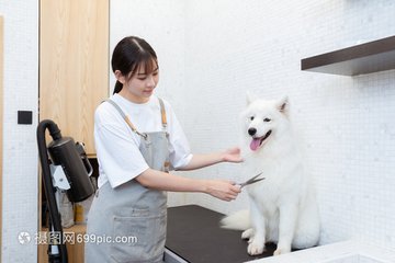 metamask钱包安卓版